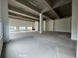 Pandan Loop (D5), Factory #473998801